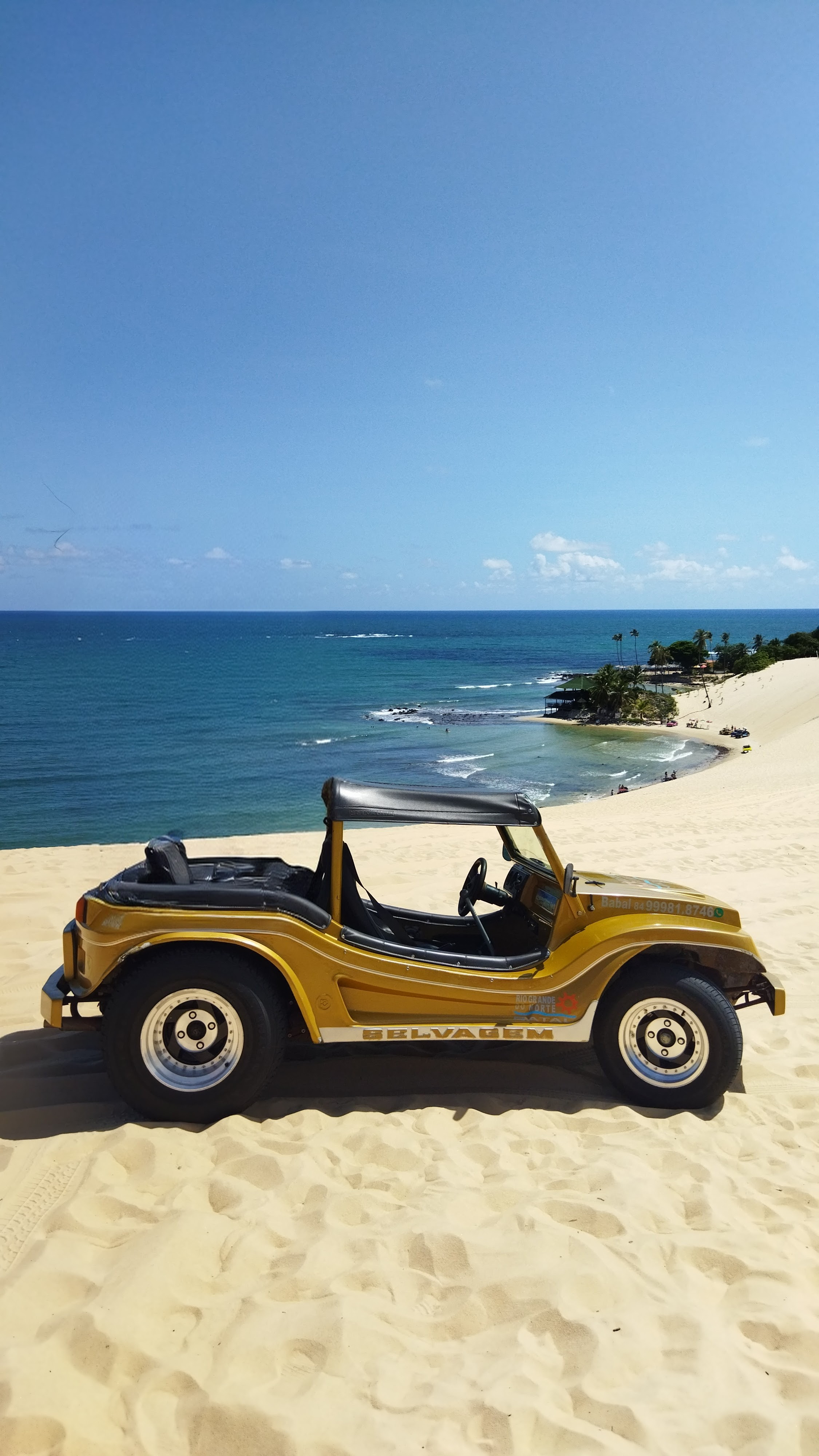 Imagem: IMG_20220209_094216~2.jpg