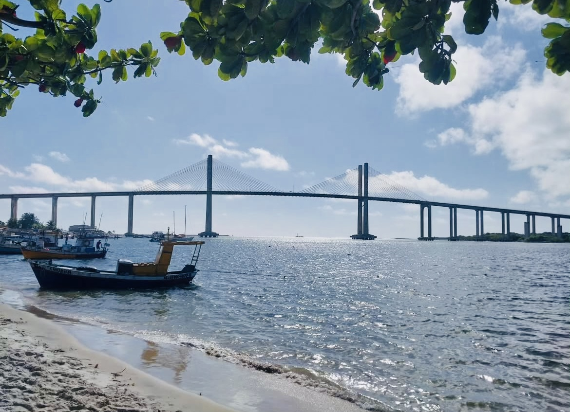 Imagem: IMG_1848.jpeg