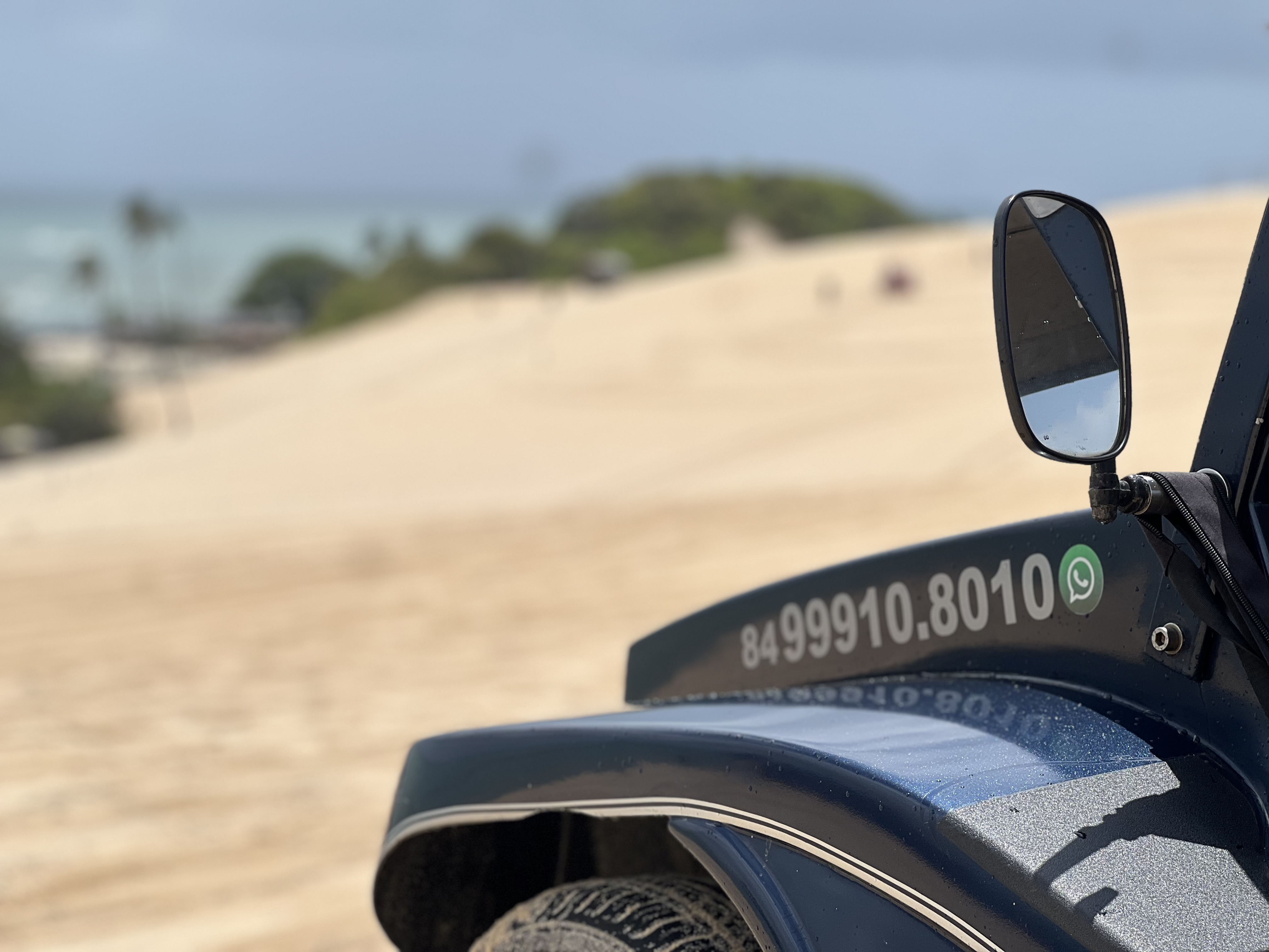 Imagem: IMG_2176.jpeg