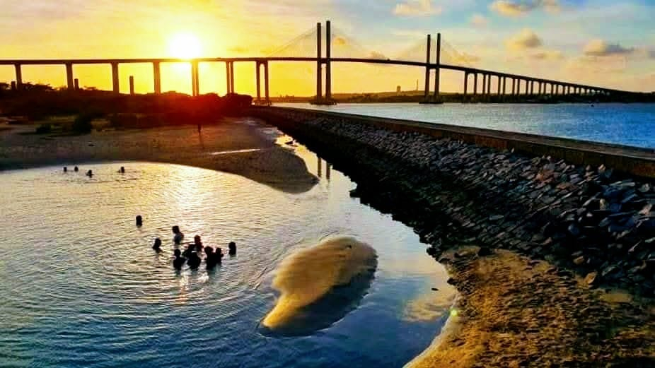 Imagem: ec4ee397-bbb8-44ec-8c0c-93609aaa291f.jpeg