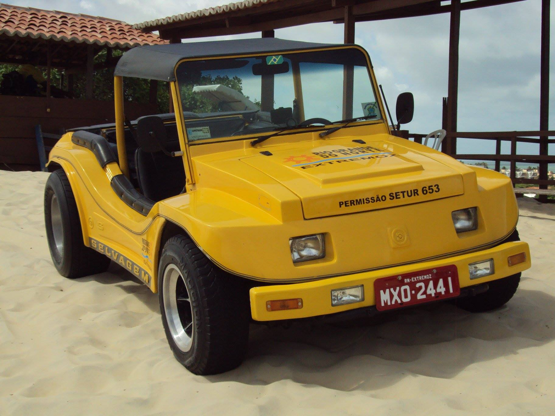 Imagem: 51366365_2303685129644486_4100746254944829440_o.jpg