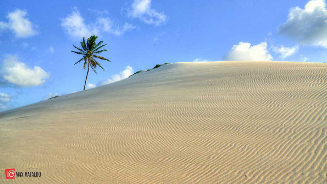 Imagem: D75_2179_80_81---Copia.jpg